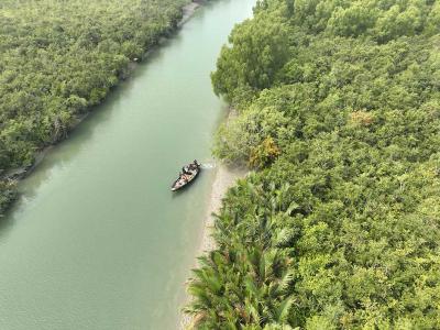 Go Sundarban Safari